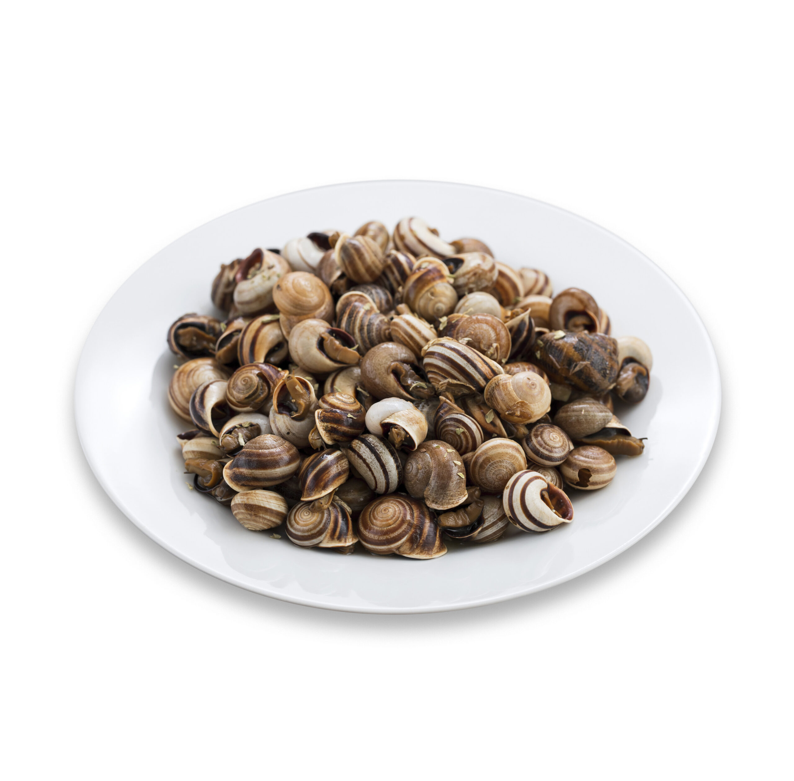 Caracoles