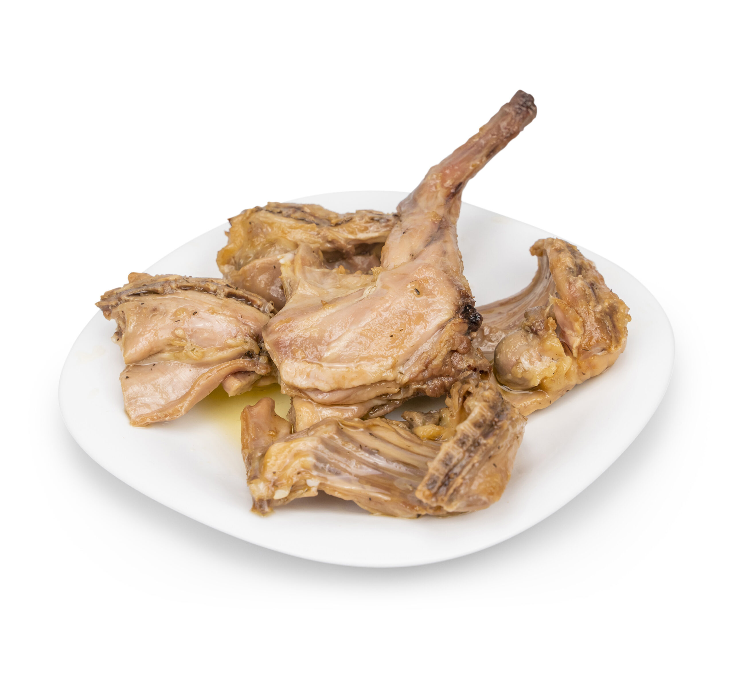 Carnes frescas de ave y conejo