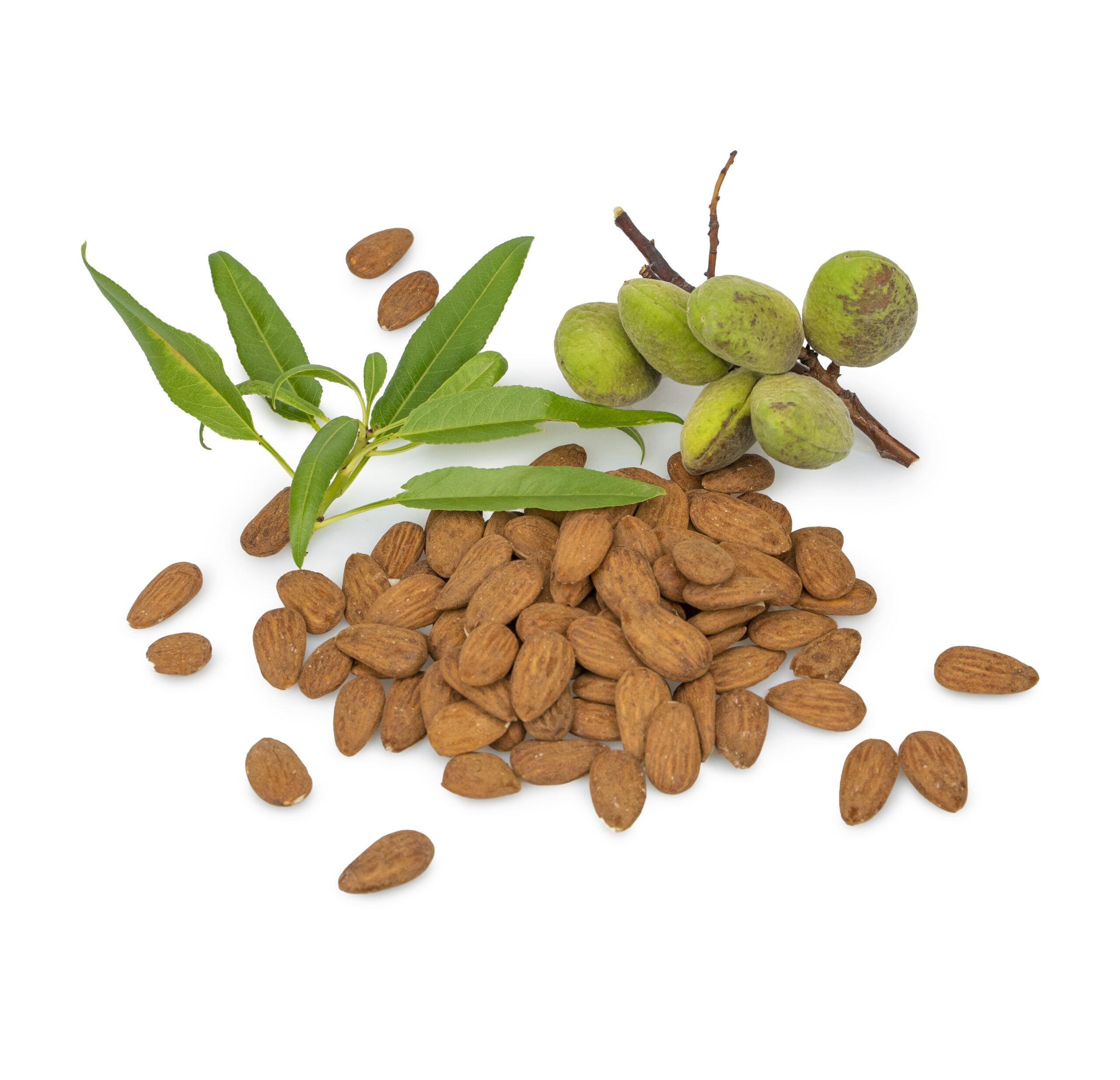 Frutos secos