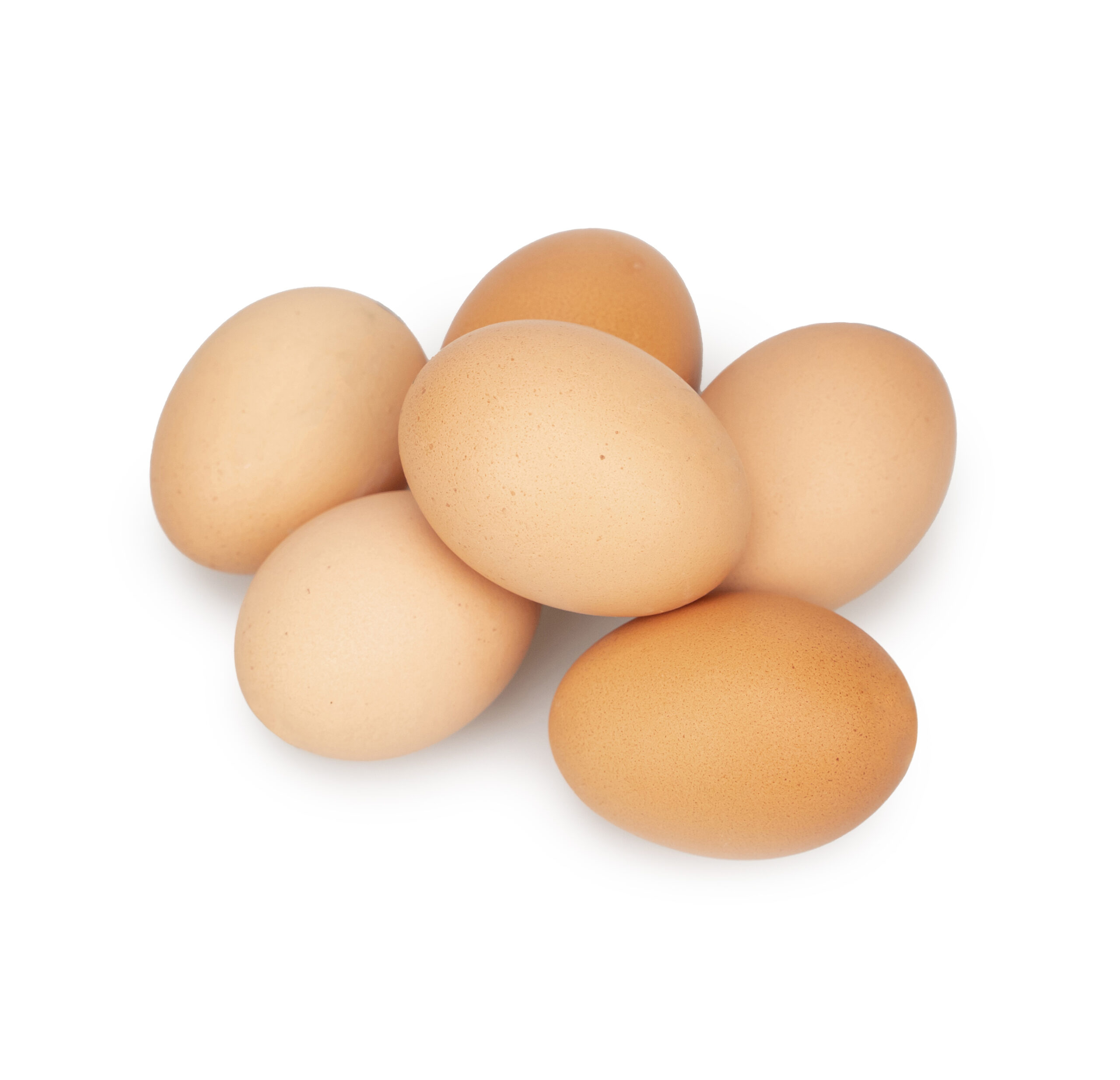Huevos ecológicos de gallina