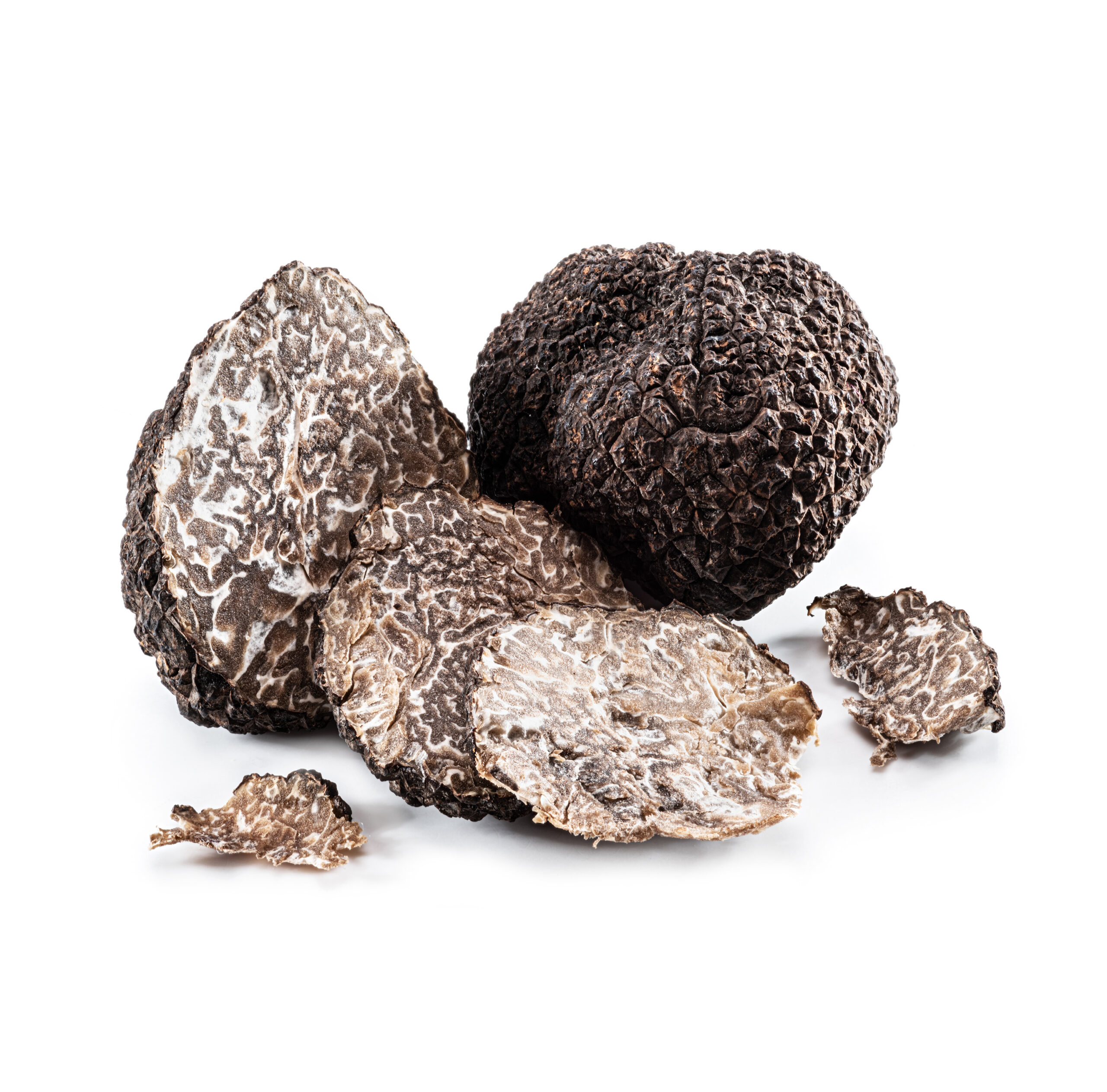 Trufa negra de Teruel