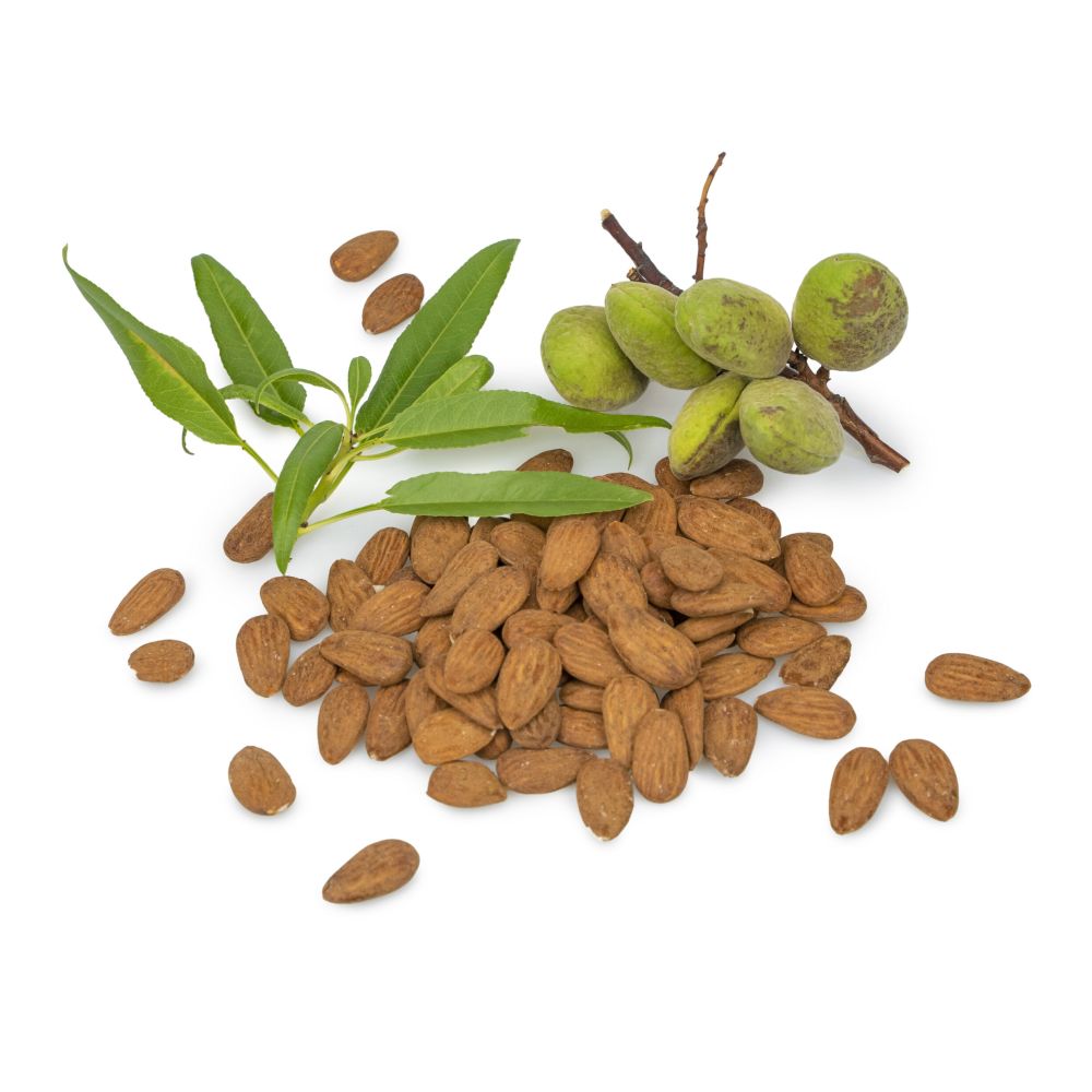 Frutos secos