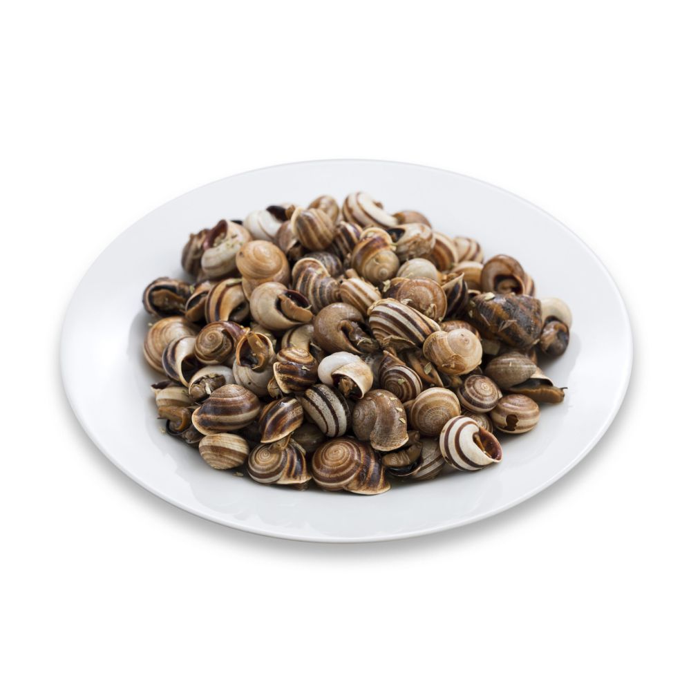 Caracoles